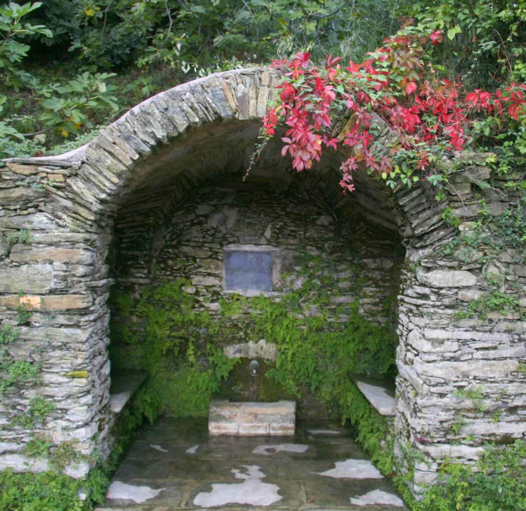 Funtana fresca en automne. Octobre 2008. Photo D.A.