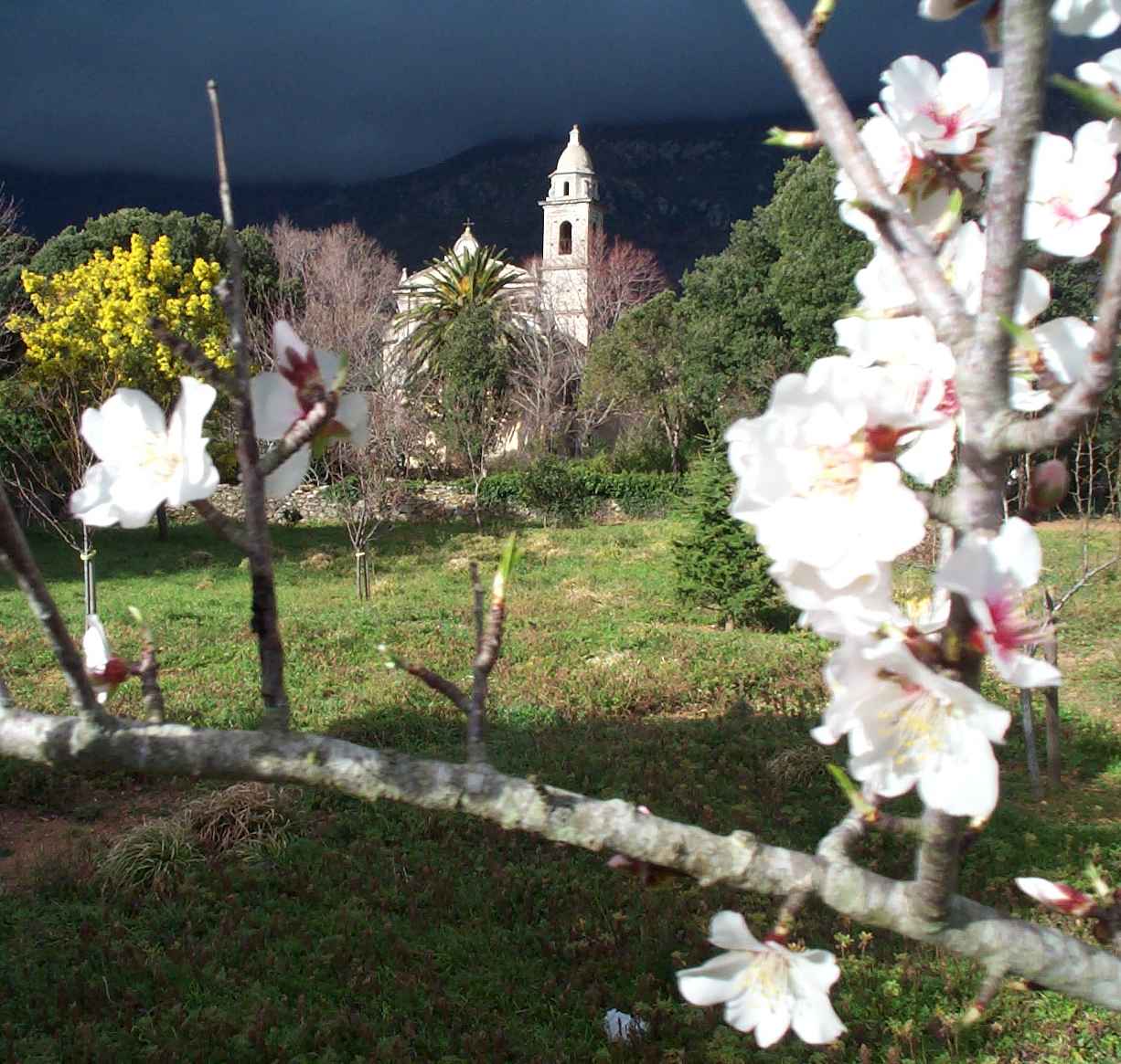 L'église vue d'un jardin fleuri. Février 2000. Photo D.A.