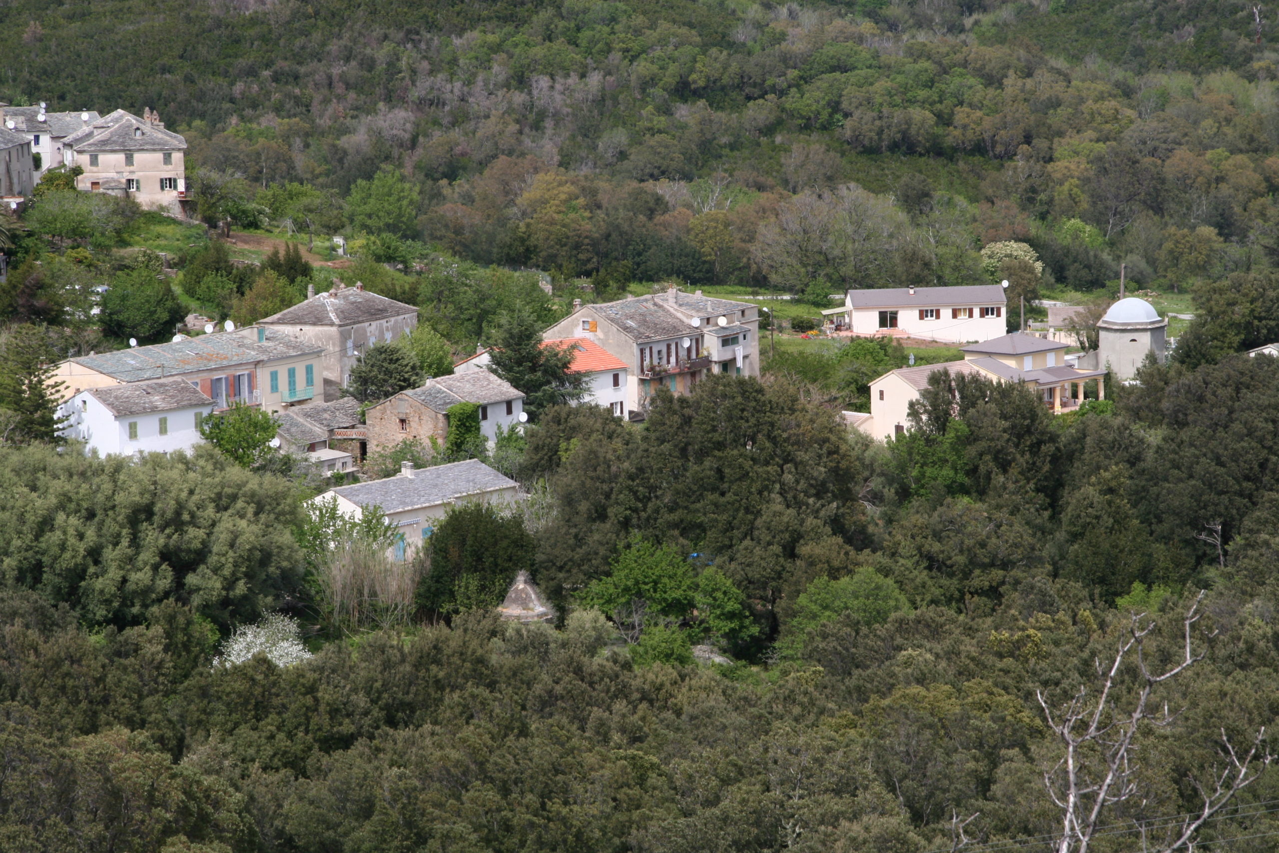 L'Oreta au printemps. Photo D.A
