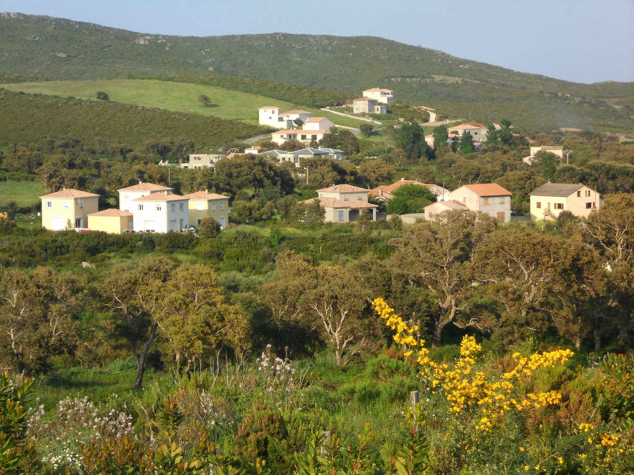 La plaine vue de la rive nord. Novembre 2010. Photo D.A
