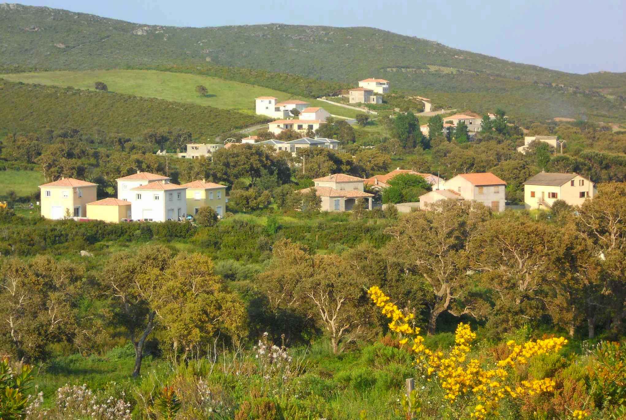 La rive nord de la vallée. Avril 2011. Photo D.A.