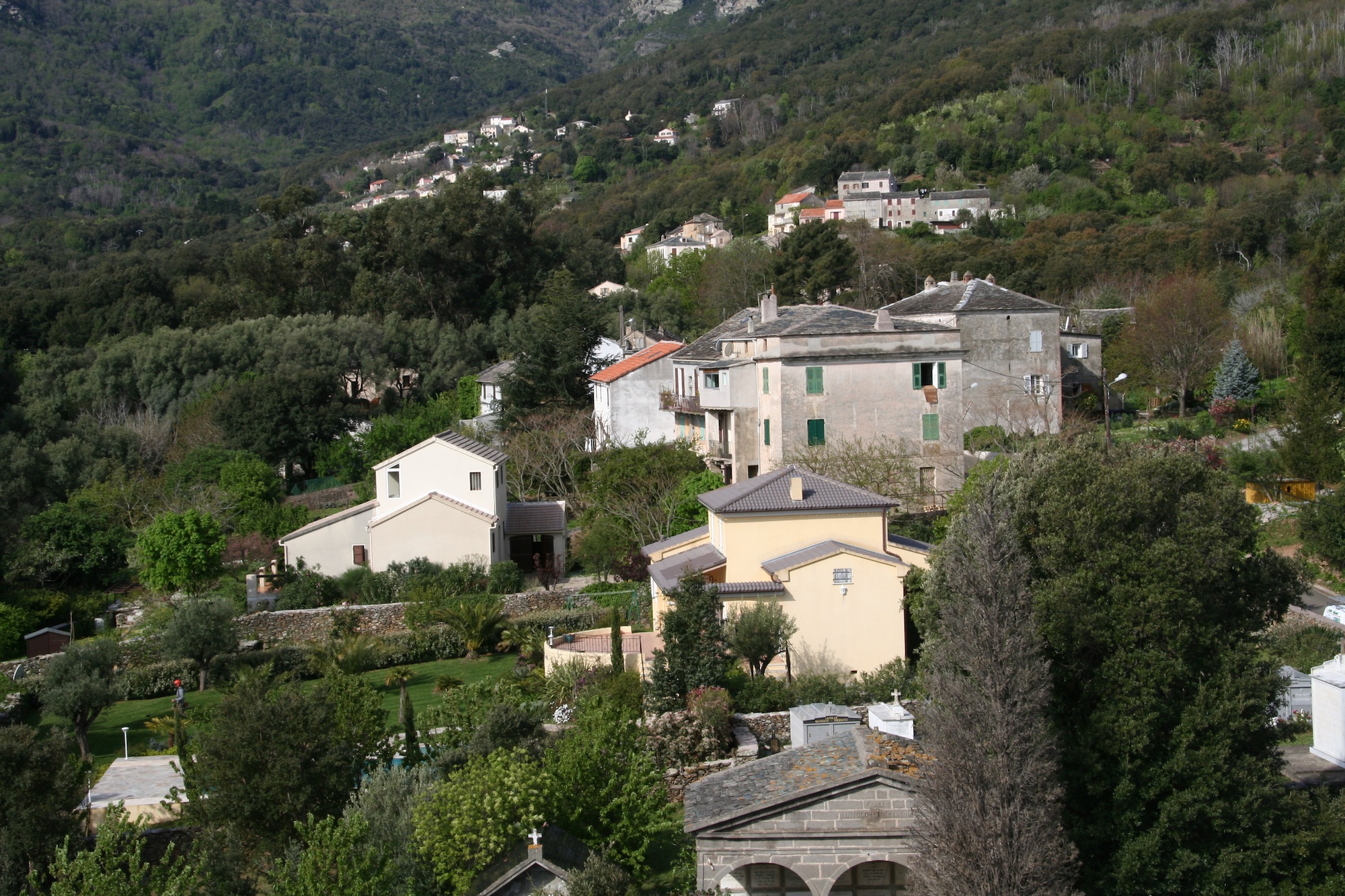 Le Ponticellu depuis le clocher. Avril 2008. Photo D.A.