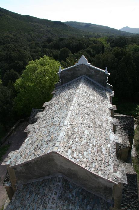 Le toit de Saint-Clément. Avril 2008. Photo D.A.