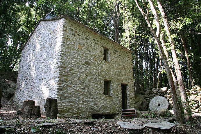 Mulinu vivu. Mai 2008. Photo D.A.