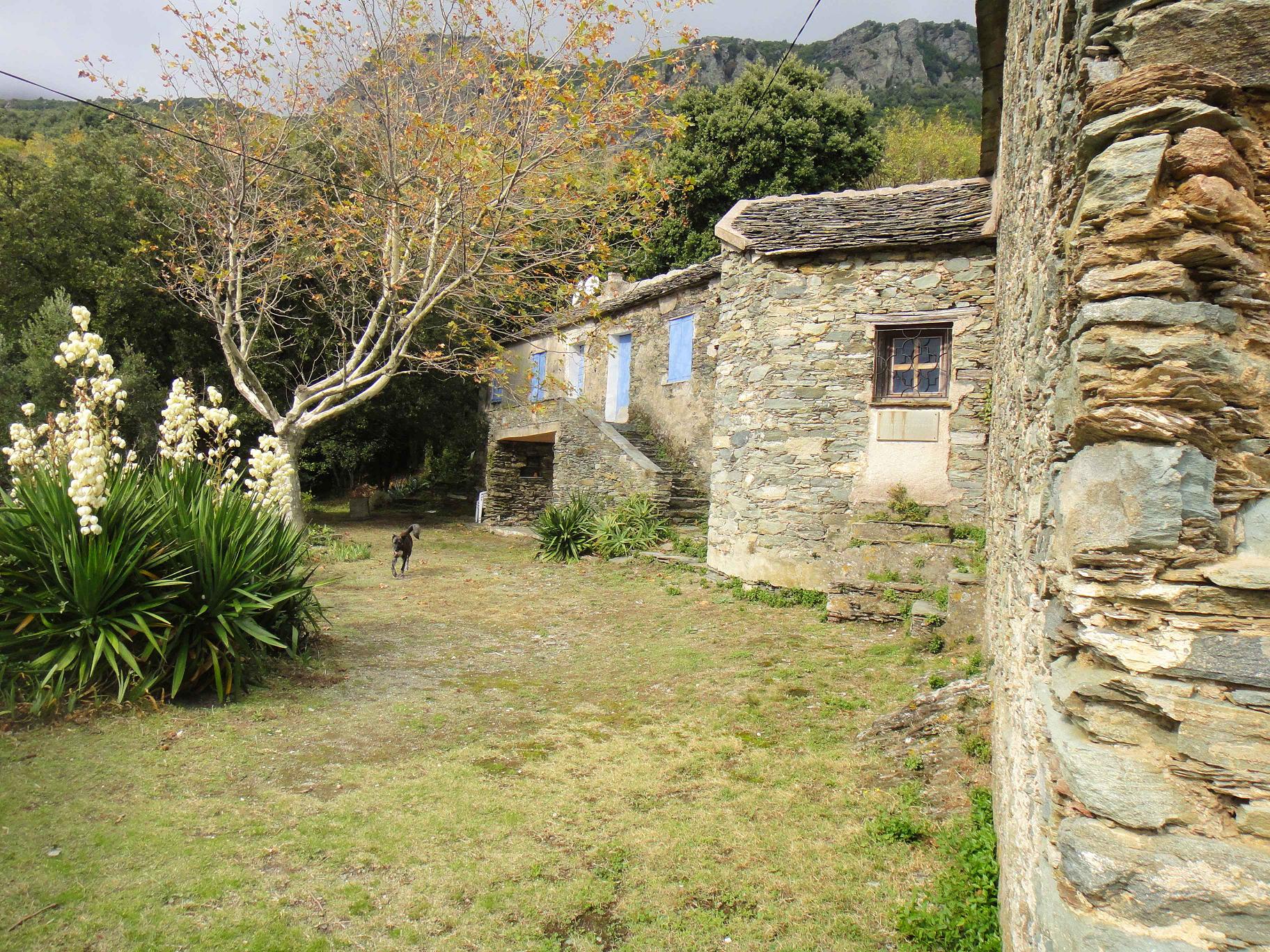 Placette Saint-Pancrace. Janvier 2011. Photo Jean-Paul Llavador