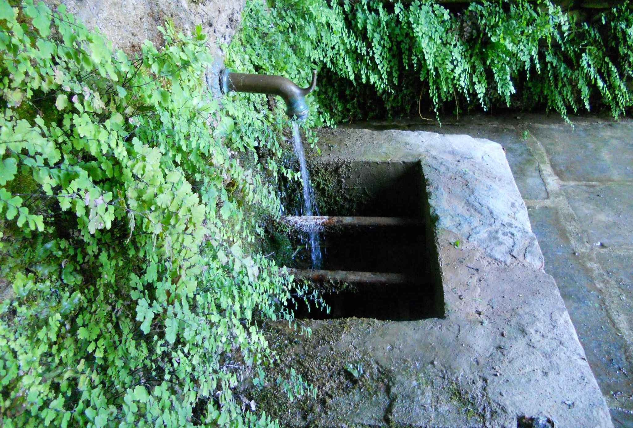 Détail Funtana fresca. Juin 2011. Photo D.A.