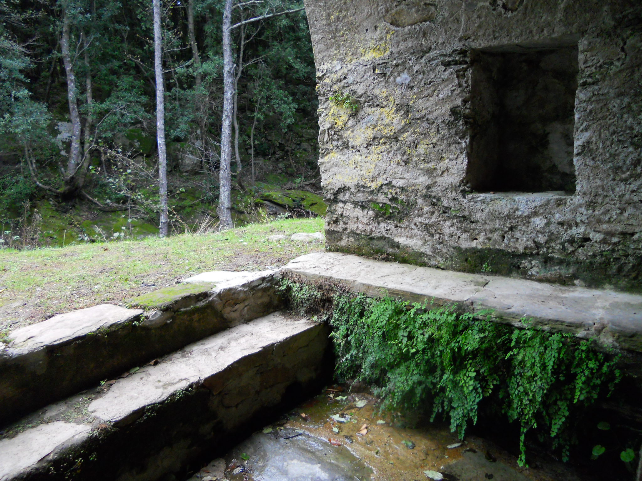 Détail fontaine du Ponticellu. Décembre 2010. Photo D.A.