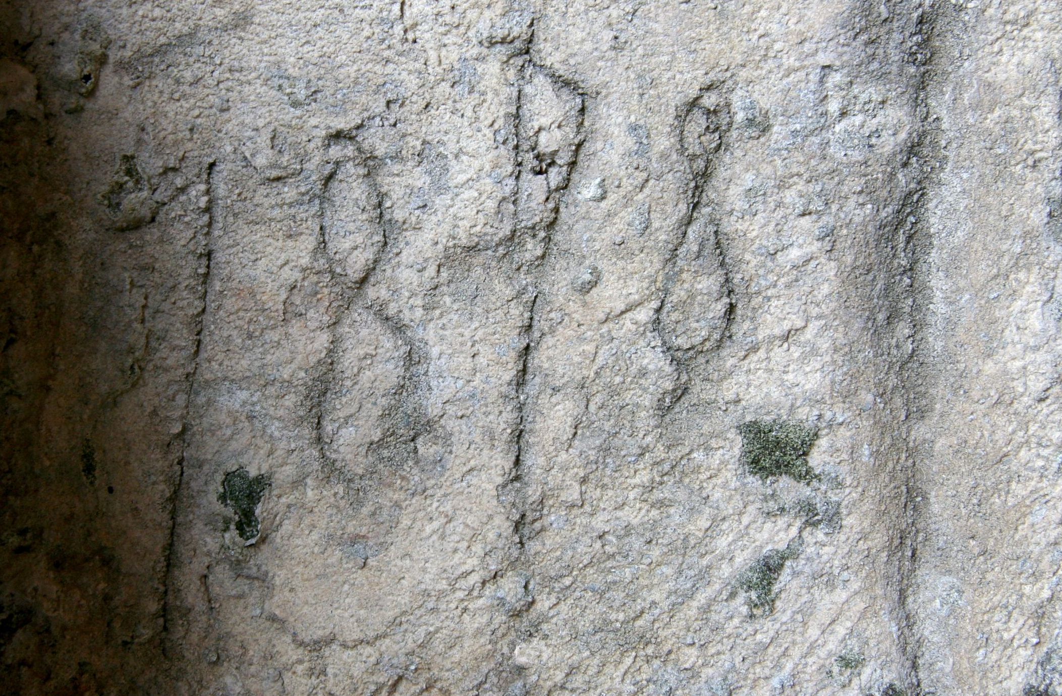 Détail funtanella. Juillet 2012. Photo D.A.