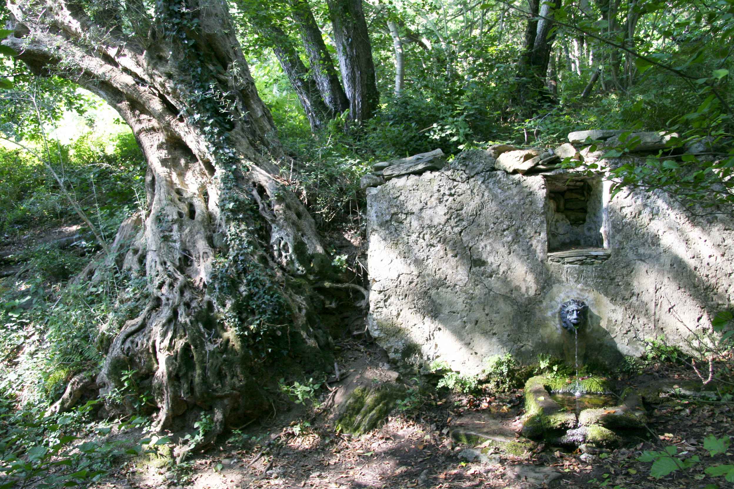 Funtana Landi. Juillet 2012. Photo D.A.