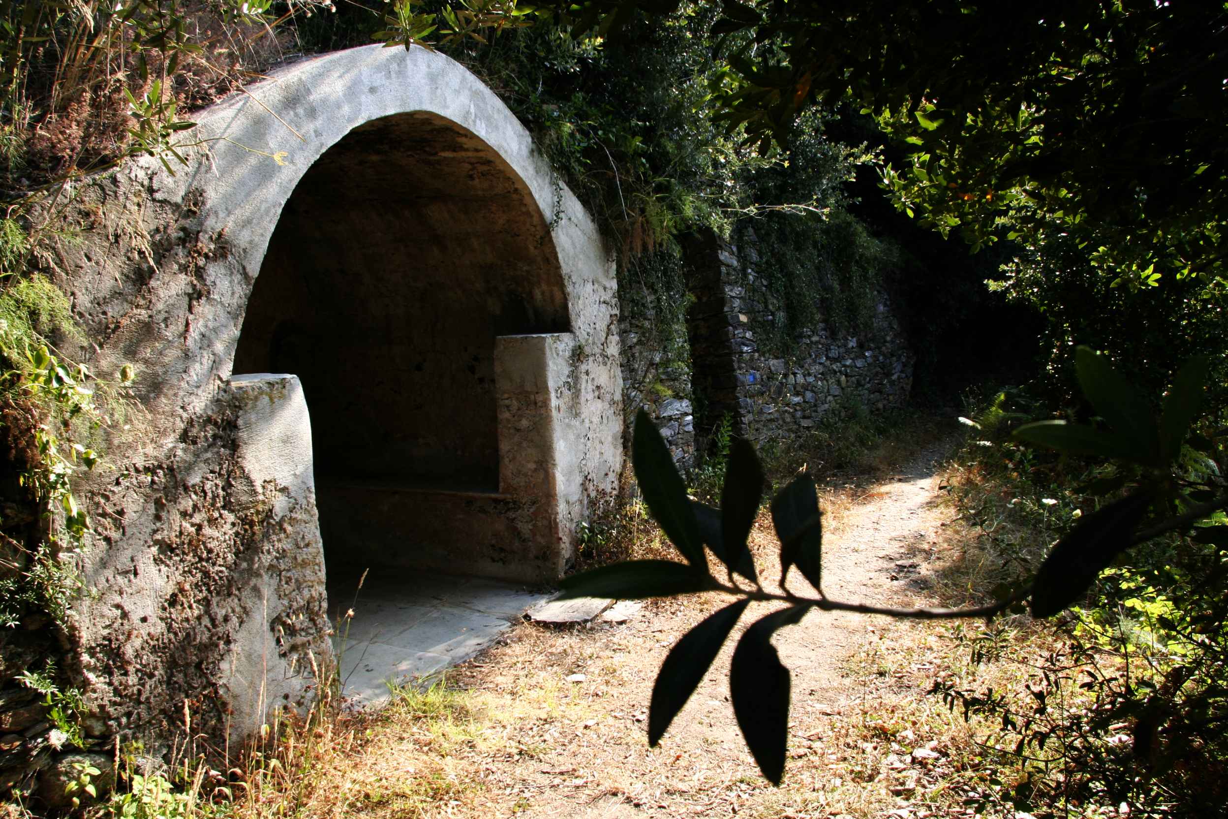 Funtanella le matin. Juillet 2012. Photo D.A.