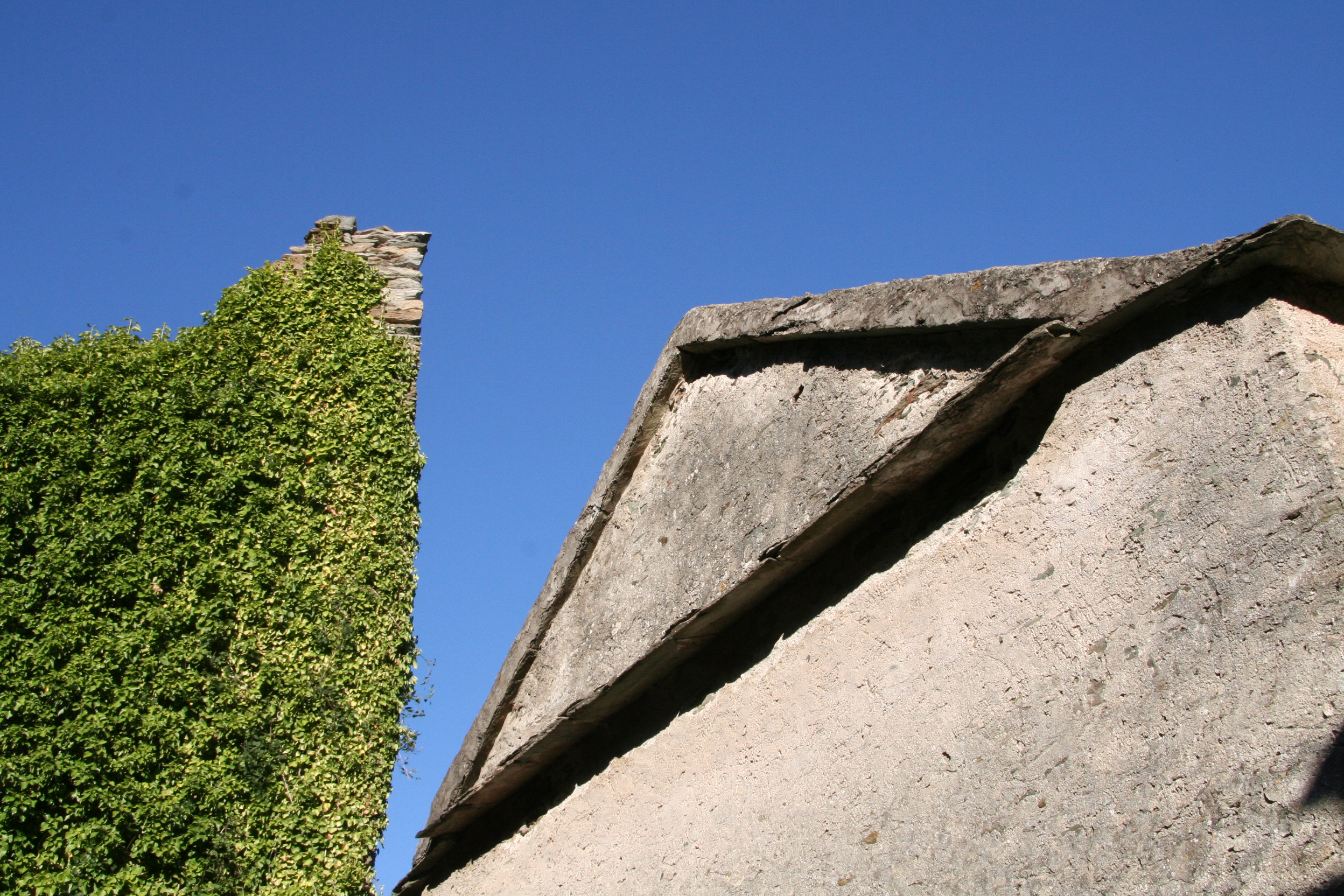 Pointe verte, pointe sèche. Aout 2010. Photo Dominique Antoni