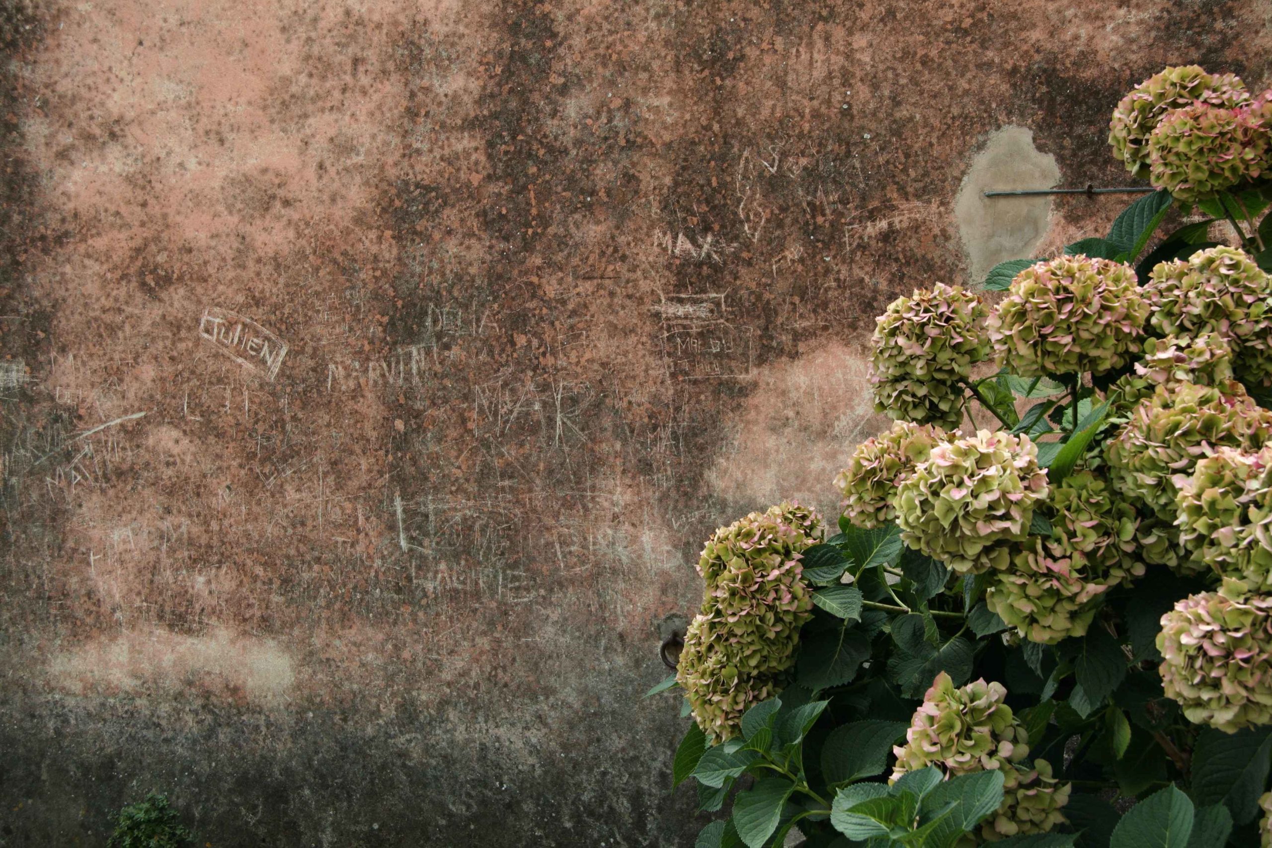 Graffitis a Pietracorbara. Août 2008. Photo Jean-Paul Llavador