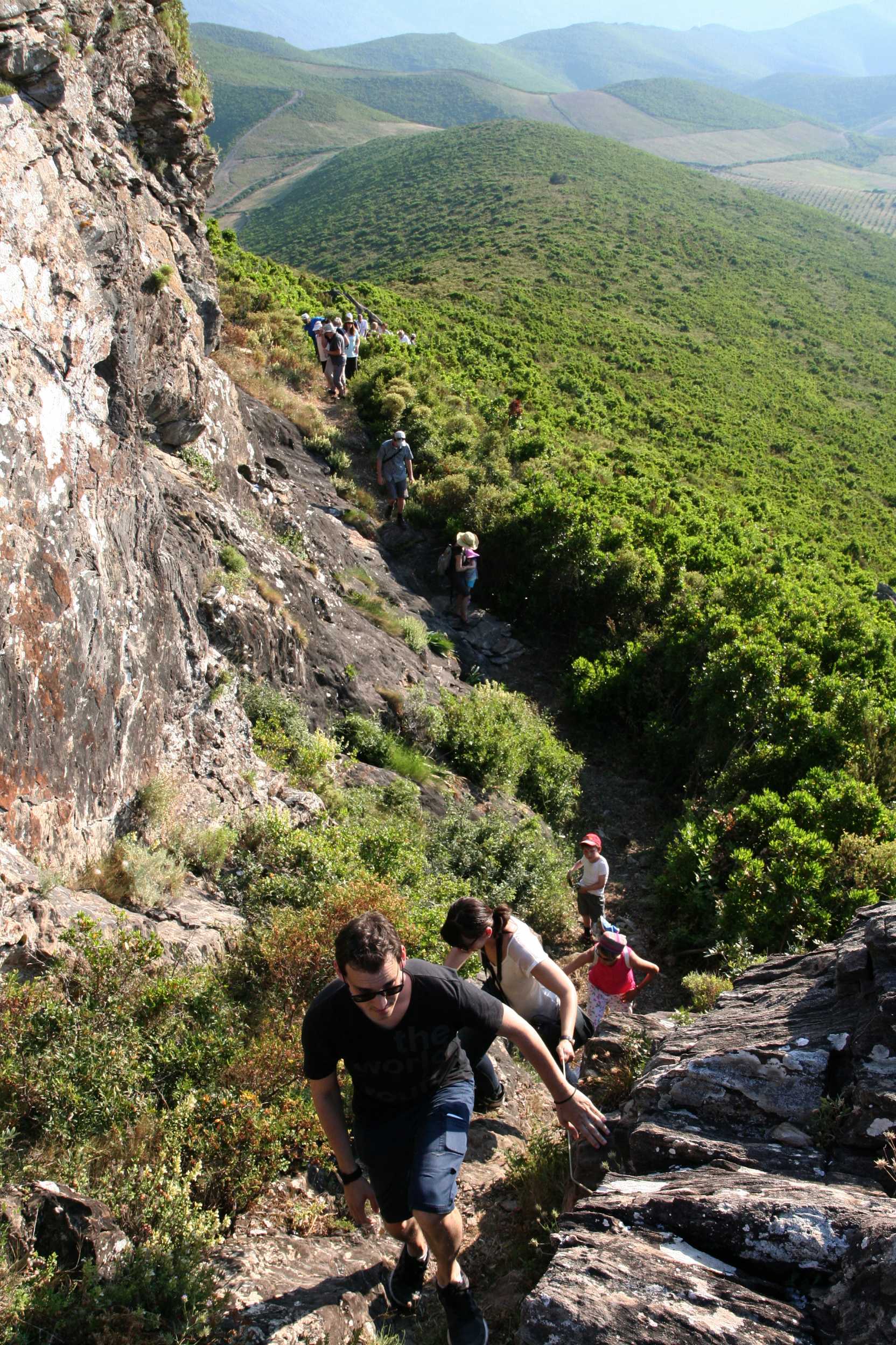 Sentier botanique Pietracorbara - Castellare
