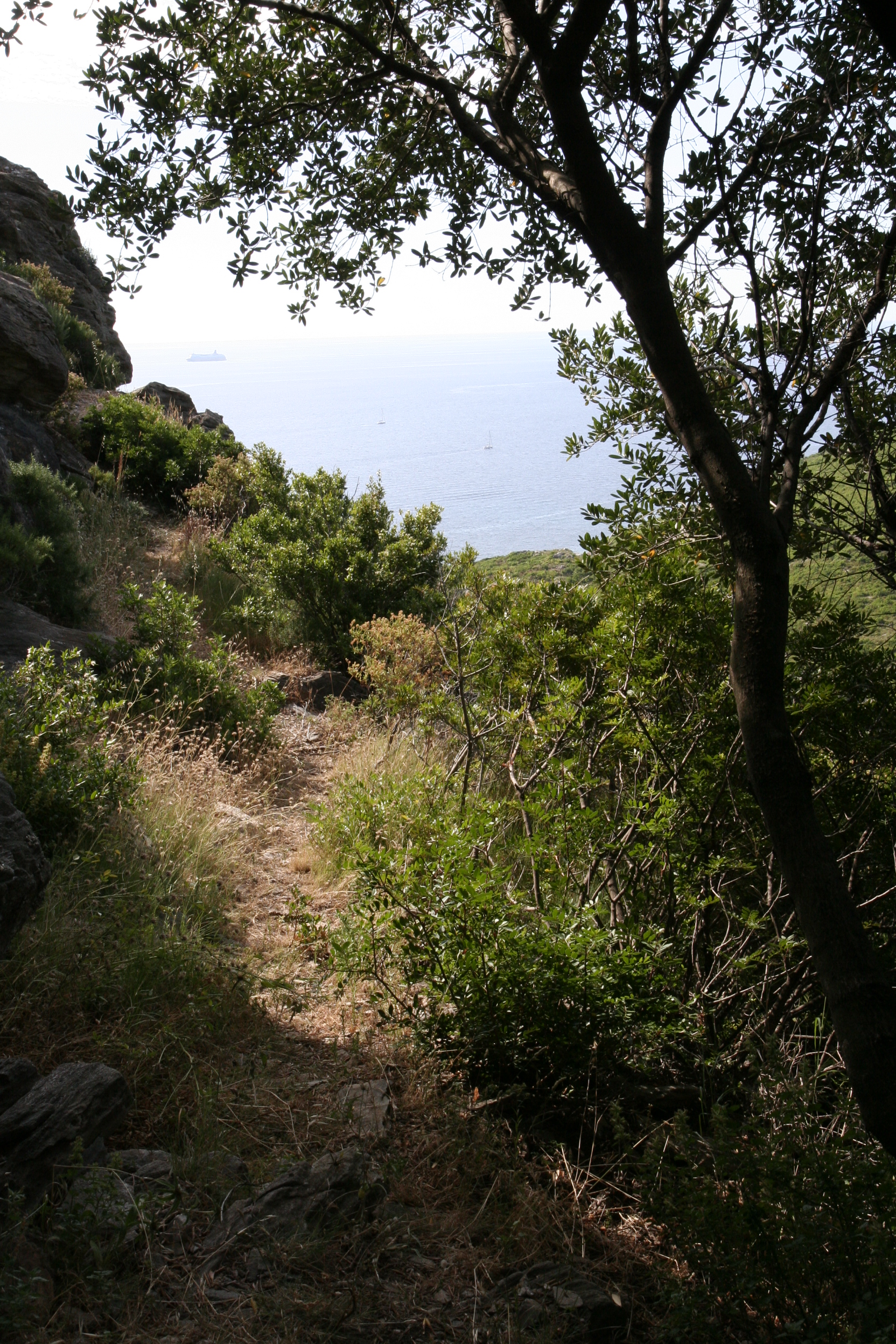 Sentier botanique Pietracorbara - Castellare