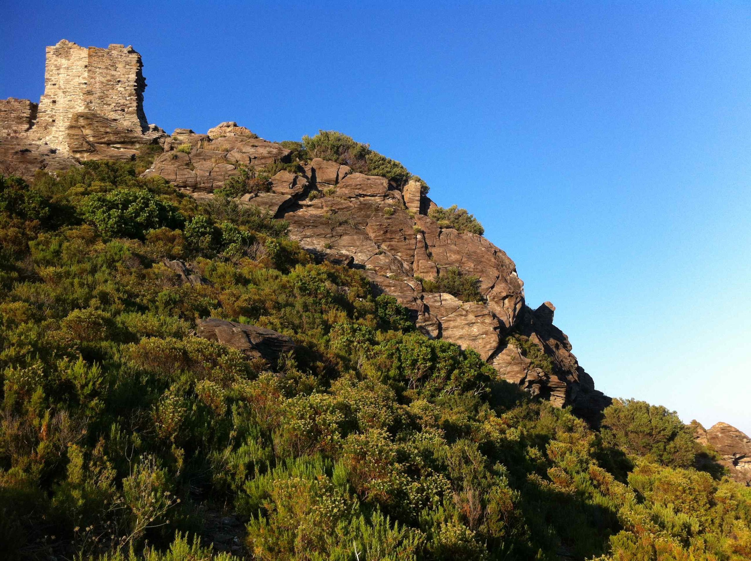 Sentier botanique Pietracorbara